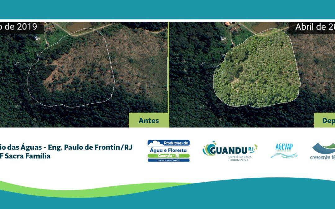 No Dia da Árvore, Comitê Guandu-RJ apresenta antes e depois de áreas restauradas 