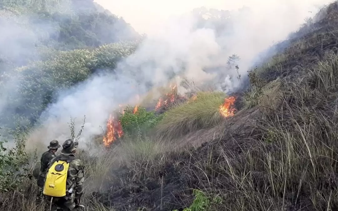 Incêndios em vegetação dobram em 2024 no RJ e campanha do Comitê Guandu reforça fim das queimadas 