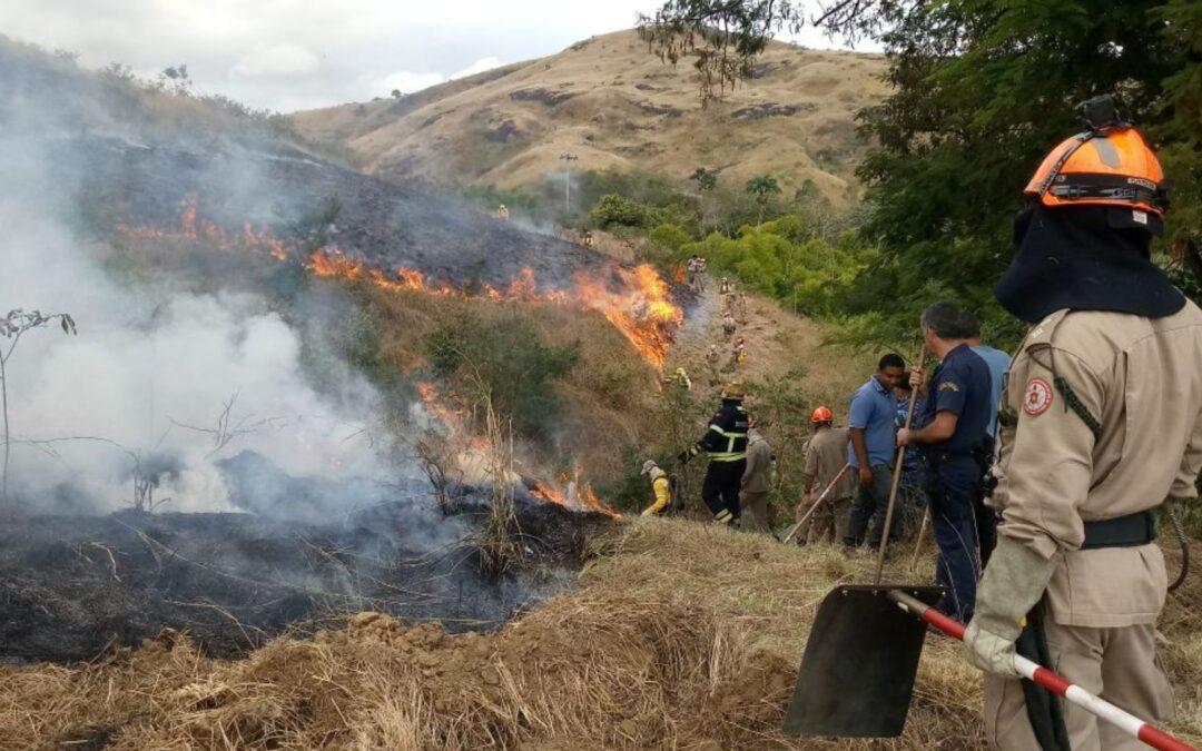 Comitê Guandu-RJ foca na preservação da Mata Atlântica com a Campanha Fiscal das Queimadas