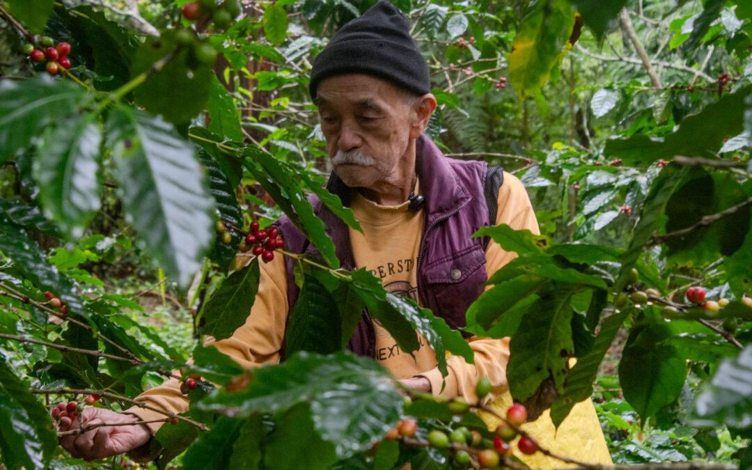 Com apoio do Programa Produtores de Água e Floresta (PAF), produtores rurais do Vale do Café ressignificam a tradição cafeeira da região por meio de práticas sustentáveis