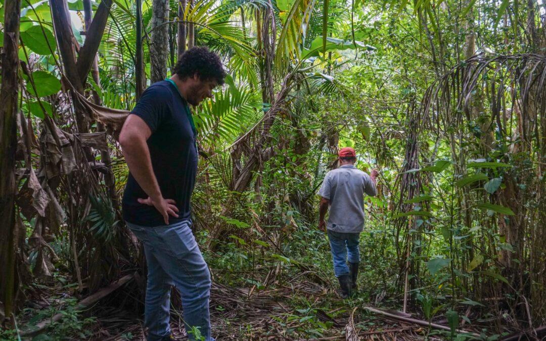 Comitê Guandu-RJ amplia restauração da Mata Atlântica e reforça combate às queimadas